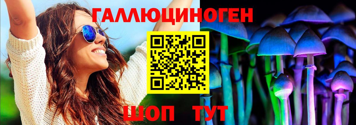 Губкин  Псилоцибиновые грибы Magic Shrooms  цены   Галлюциногенные грибы Magic Shrooms  Вход с VPN 